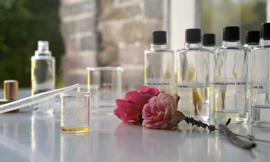 {{brizy_dc_image_alt entityId=